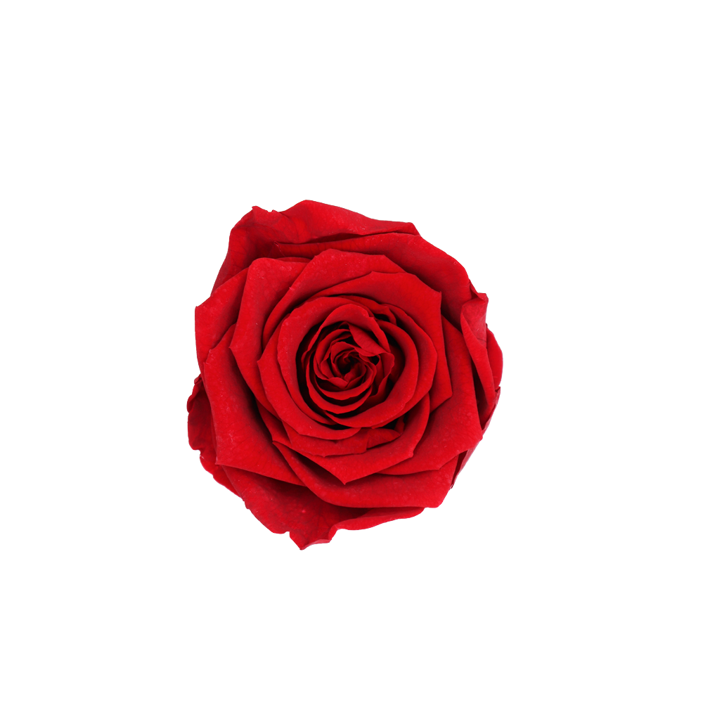 Rouge Intense